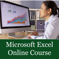 Introduction to Microsoft Excel 2019  (Self-Paced) 3-Months Online Course