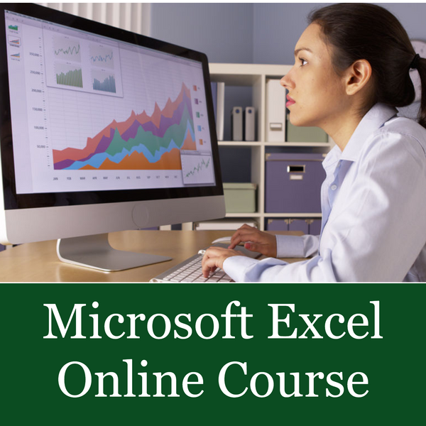 Intermediate Microsoft Excel 2019/Office 365 (Self-Paced) 3 months Online Course